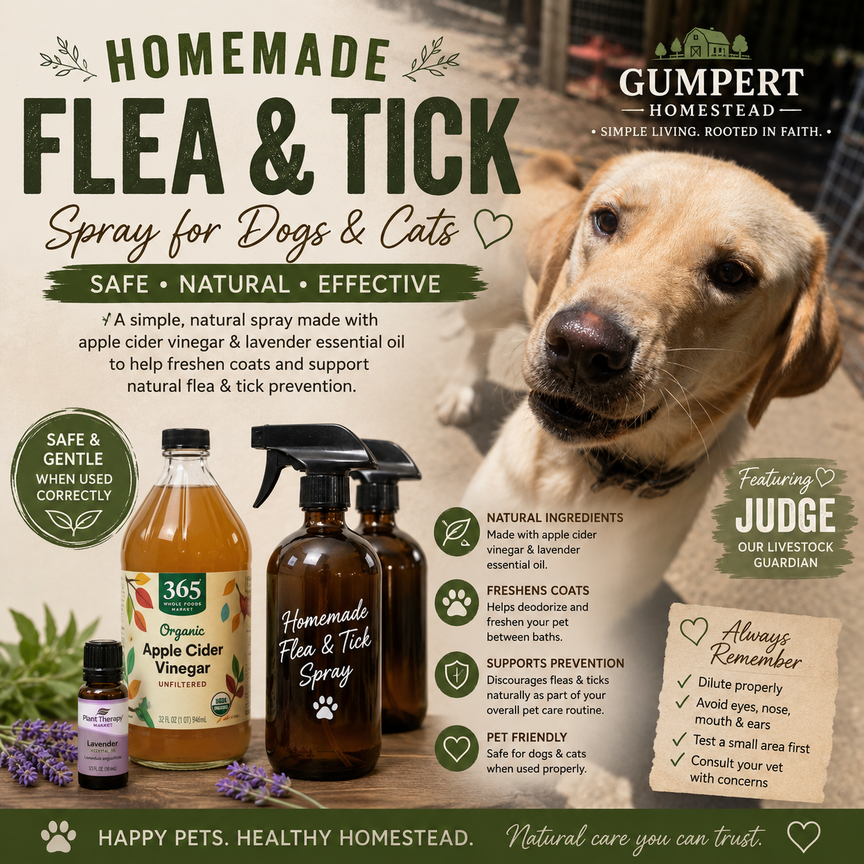 Homemade Flea and Tick Spray for Dogs & Cats: A Simple Natural Recipe That Actually Helps
