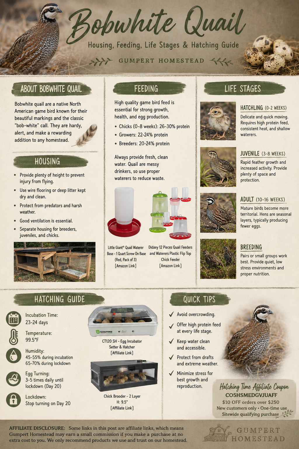 Bobwhite Quail: Complete Beginner’s Guide to Raising, Housing, Feeding & Hatching