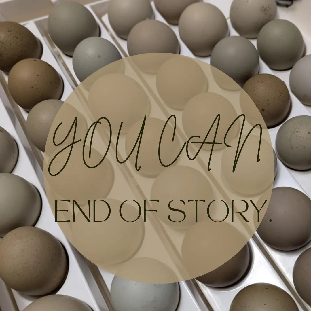 You Can. End of Story. — How to Start Your Homestead (No Excuses)
