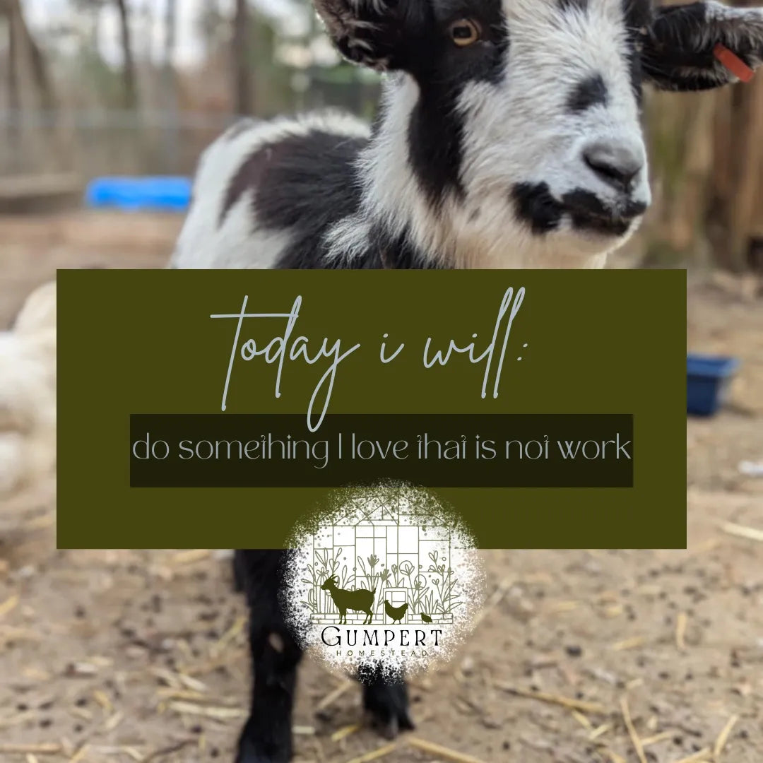Today I Will Do Something I Love (That Isn’t Work) — Homestead Hope & Mental Health Tips