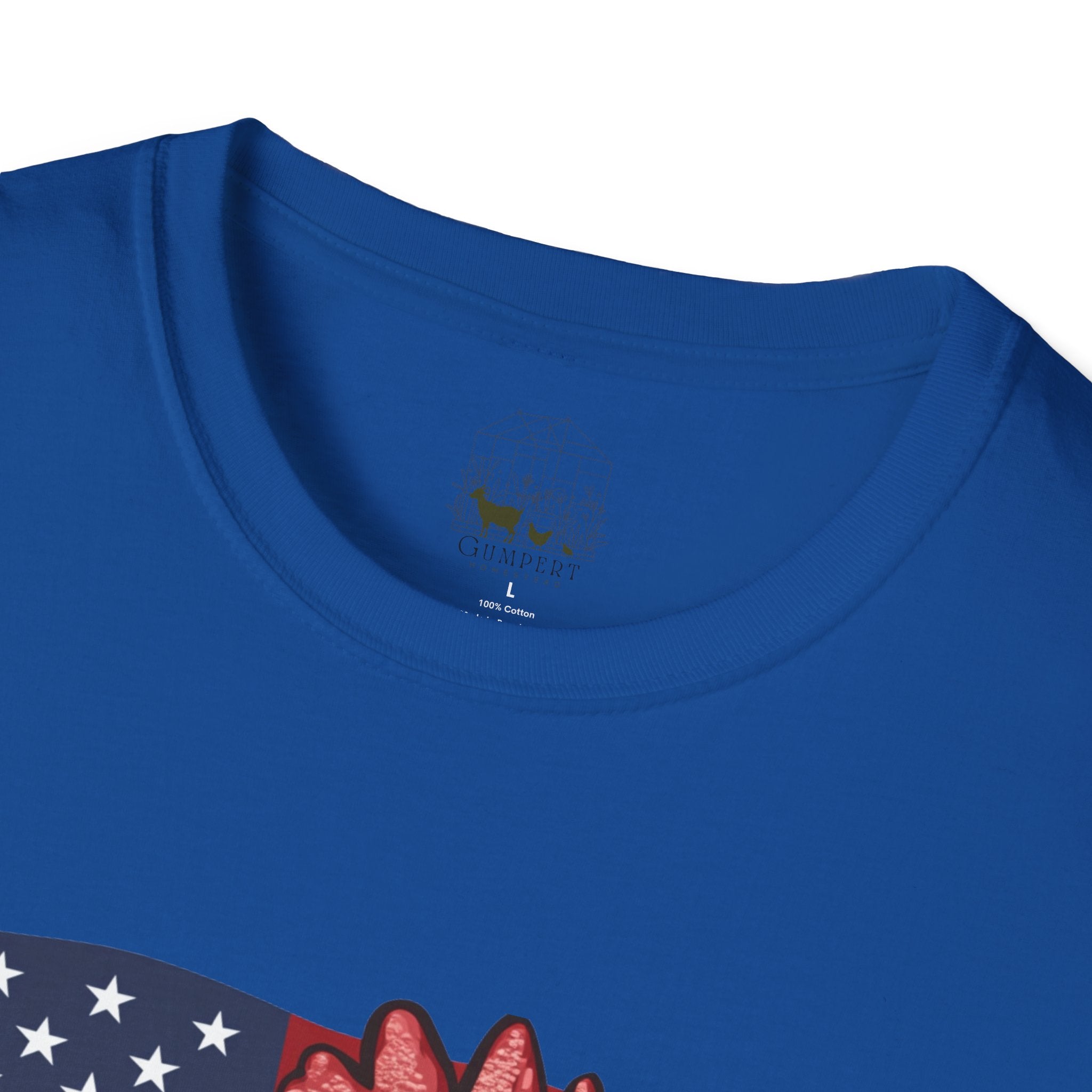 4th Of July Chicken T-Shirt – American Flag Hen Shirt, Farm Life Tee, 4th of July Chicken Shirt, Backyard Chicken Keeper Gift, Homestead Farm Apparel