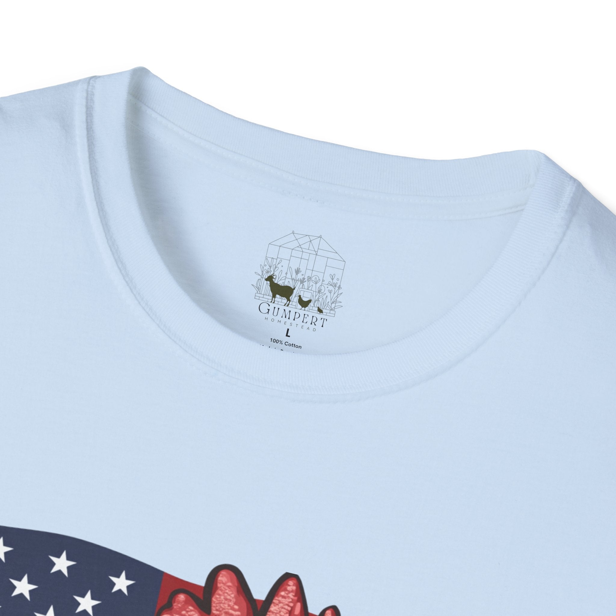 4th Of July Chicken T-Shirt – American Flag Hen Shirt, Farm Life Tee, 4th of July Chicken Shirt, Backyard Chicken Keeper Gift, Homestead Farm Apparel
