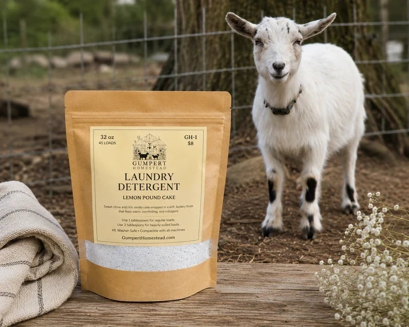 Lemon Pound Cake Laundry Detergent | Farmhouse Handmade Powder Soap | HE Safe | Natural Fresh Citrus Vanilla Scent | Gumpert Homestead