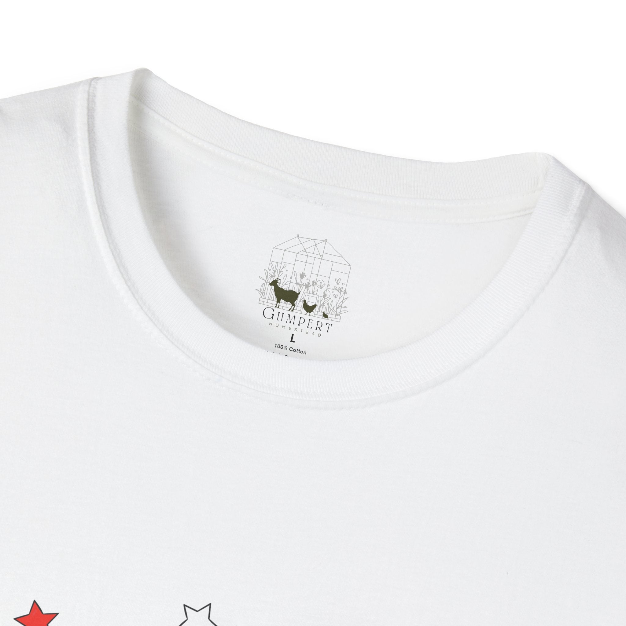 Happy 4th of July Chicken T-Shirt – Patriotic Rooster & Hen Shirt, American Flag Farm Tee, Backyard Chicken Shirt, Homestead Independence Day Apparel