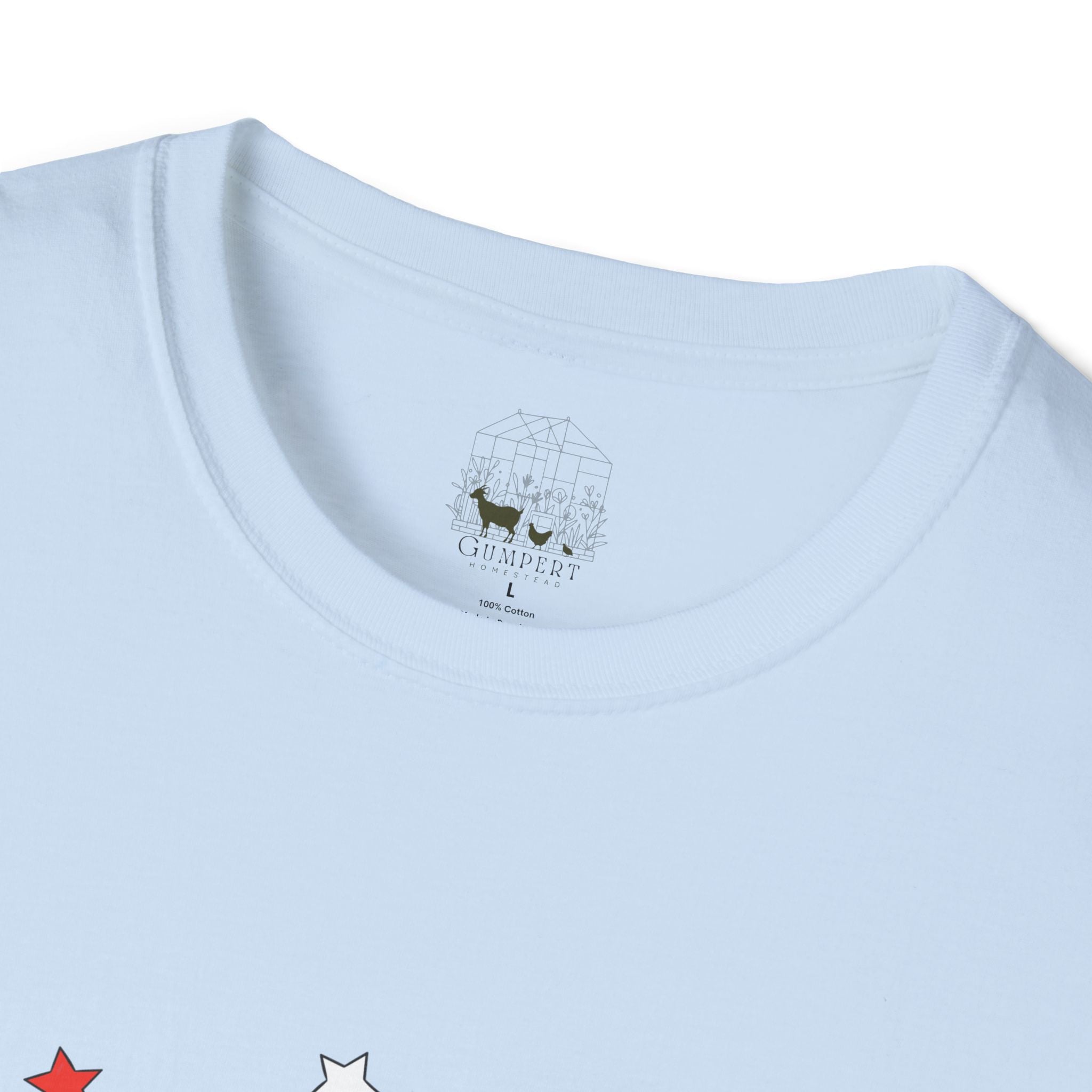 Happy 4th of July Chicken T-Shirt – Patriotic Rooster & Hen Shirt, American Flag Farm Tee, Backyard Chicken Shirt, Homestead Independence Day Apparel