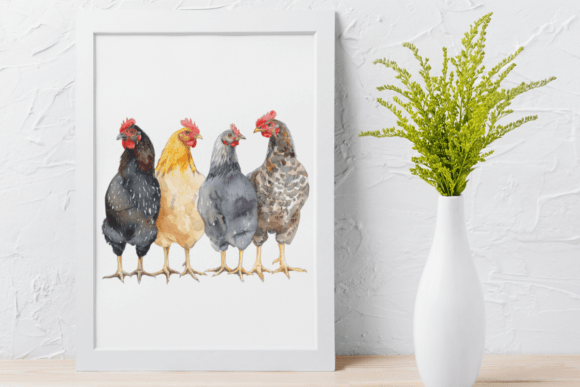 Free Chicken Farm Watercolor PNG Clipart Bundle | Farm Animal Sublimation & Craft Graphics