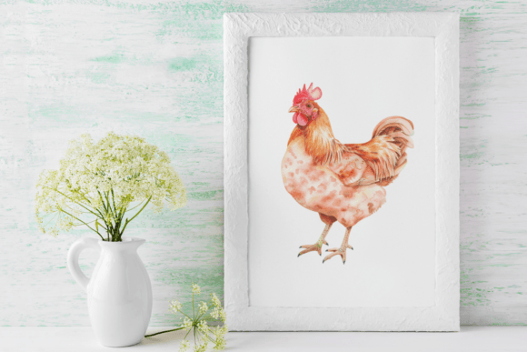 Free Chicken Farm Watercolor PNG Clipart Bundle | Farm Animal Sublimation & Craft Graphics