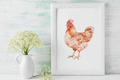 Free Chicken Farm Watercolor PNG Clipart Bundle | Farm Animal Sublimation & Craft Graphics